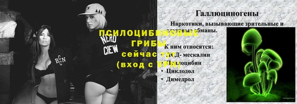 тгк Абаза