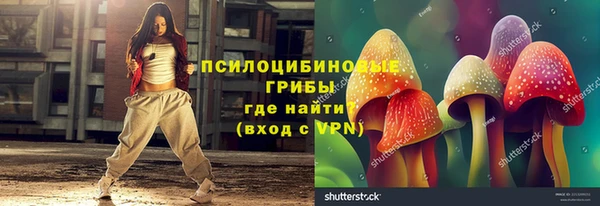 прущая мука Алзамай