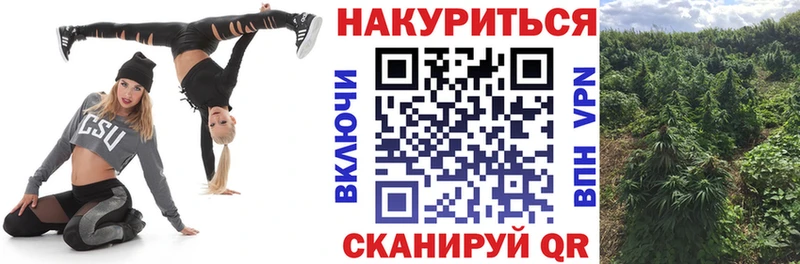 Канабис MAZAR Ессентукская
